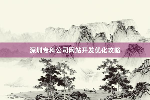 深圳专科公司网站开发优化攻略